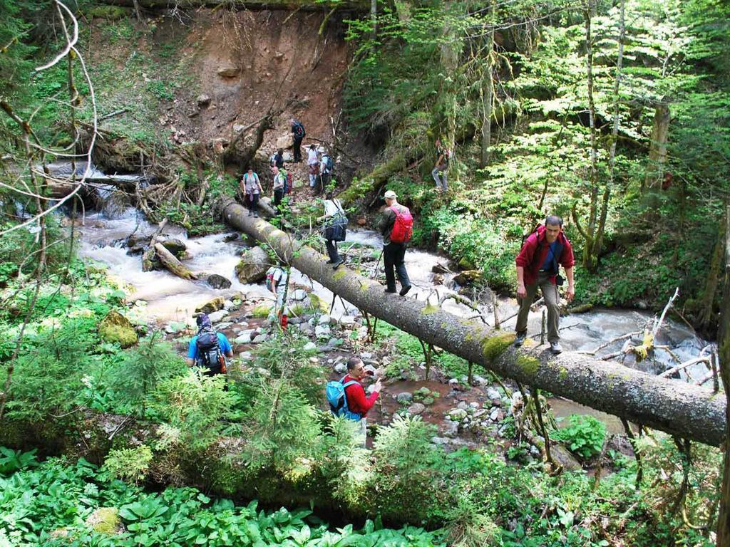 Rafting Camp Tara Center Tri Vodenice Bastasi المظهر الخارجي الصورة