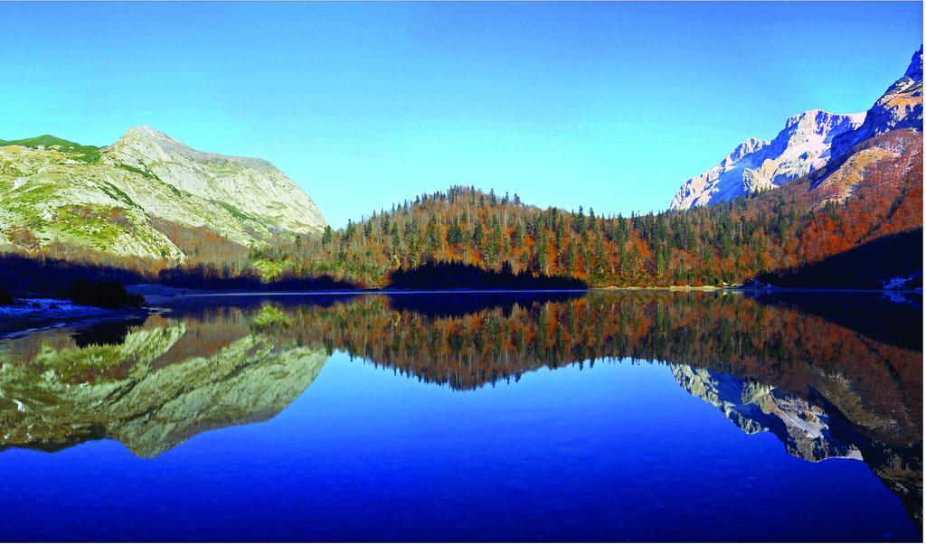 Rafting Camp Tara Center Tri Vodenice Bastasi الغرفة الصورة
